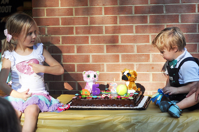 Puppy and Kitty Birthday Party