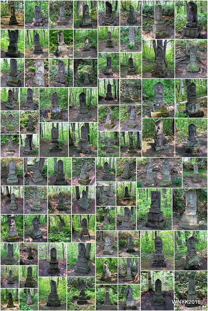 Stone Buddha Collage