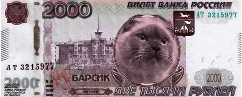 Barsik the cat banknote