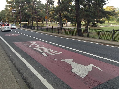 「鹿の飛び出し注意」という交通標識まで存在する