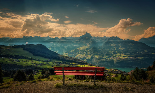 The red bench